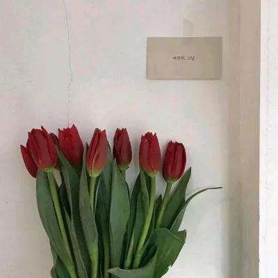 完美电竞下载手机版